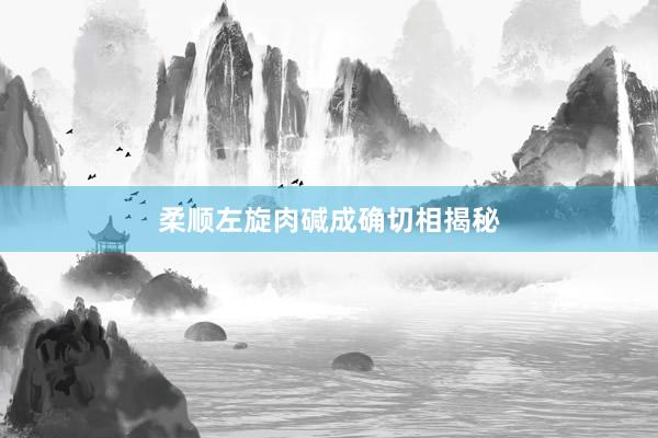 柔顺左旋肉碱成确切相揭秘