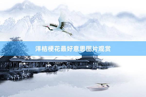 洋桔梗花最好意思图片观赏