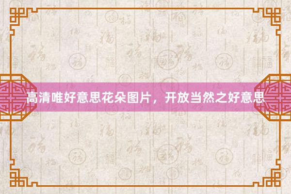 高清唯好意思花朵图片，开放当然之好意思